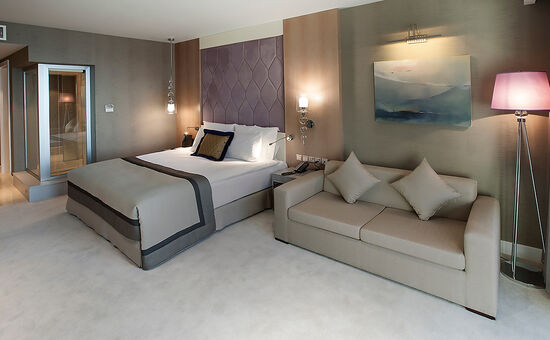 Elexus Hotel & Resort Spa Standard Room Land View