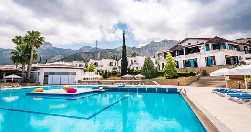 The Olive Tree Hotel