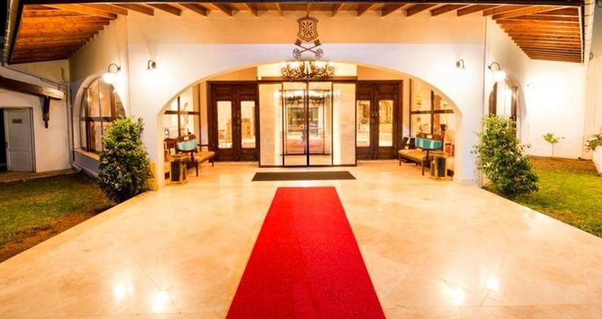 The Olive Tree Hotel