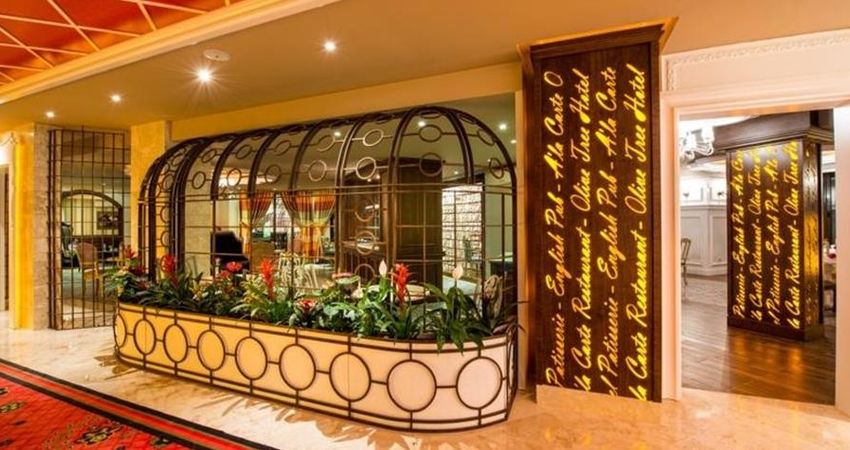 The Olive Tree Hotel