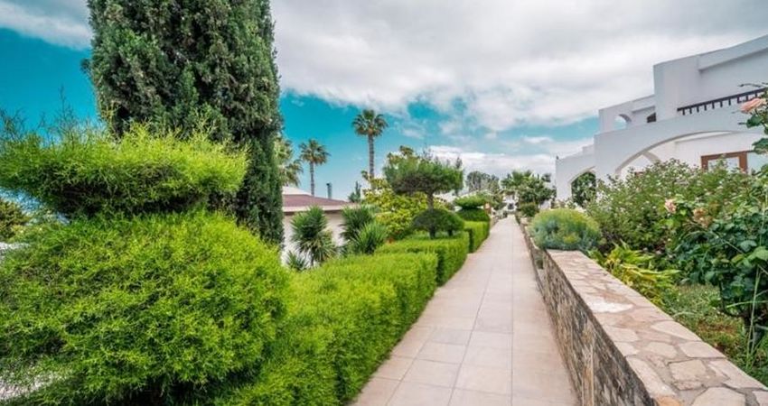 The Olive Tree Hotel
