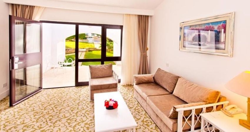 The Olive Tree Hotel