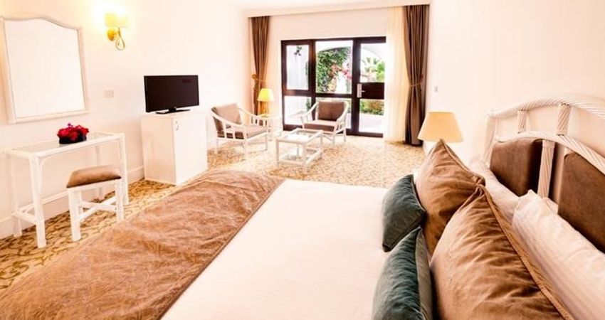 The Olive Tree Hotel